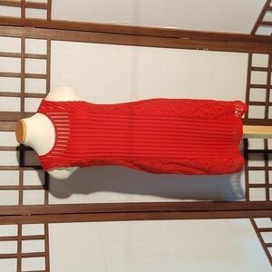 Spense Floral Lace Sleeveless Red Dress Sz 6